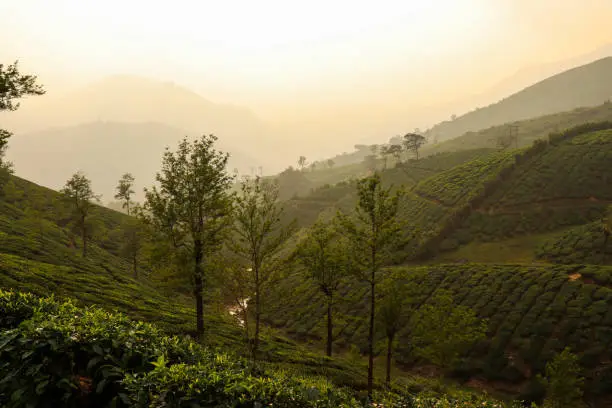 Landscapes taken during our trips to Valparai, Tamil Nadu and Guwahati.