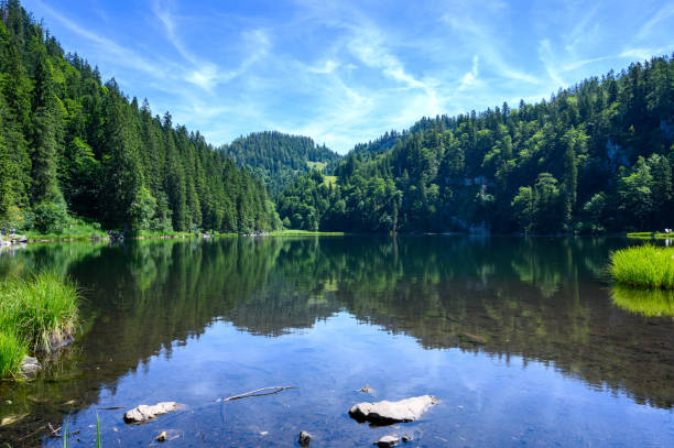 istock Lake in the Alps 1165255488