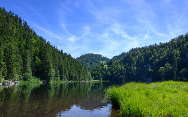 istock Lake in the Alps 1165255498