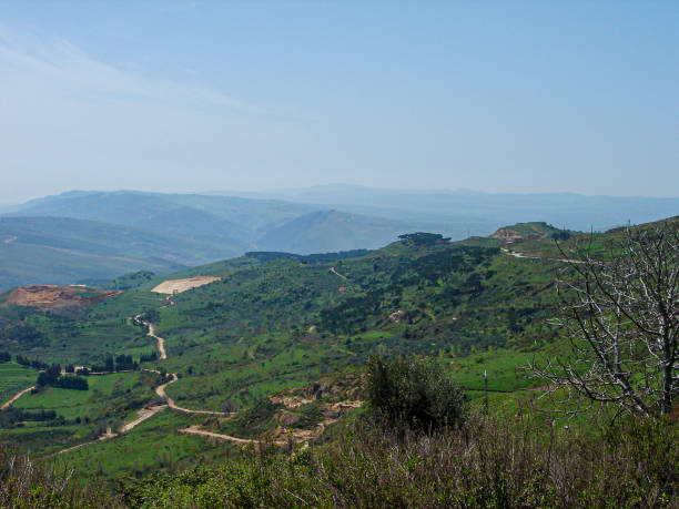istock Beautiful Nature in south Lebanon 1165255840