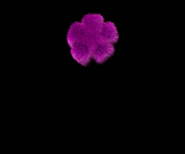 istock asterisk of amusing glamorous purple fur font isolated on black, amusing concept 3D illustration of symbols 1165256717