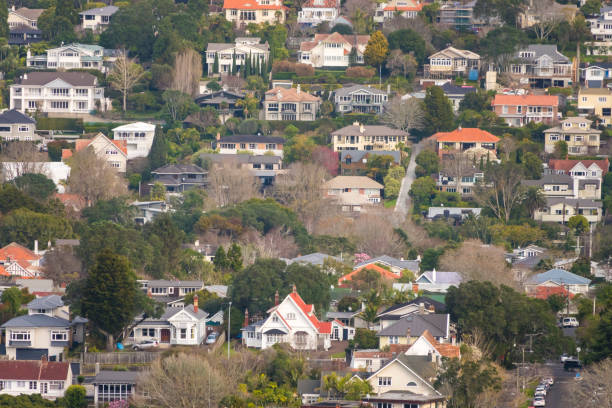 istock Auckland City Distant View 1165257629