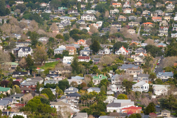 istock Auckland City Distant View 1165257668