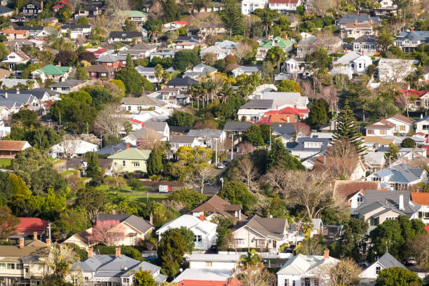 istock Auckland City Distant View 1165257742