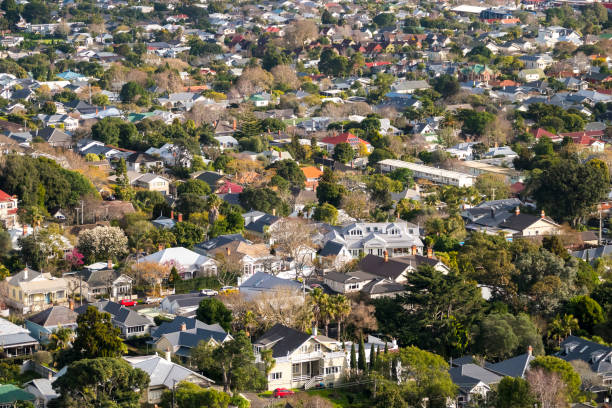 istock Auckland City Distant View 1165257757