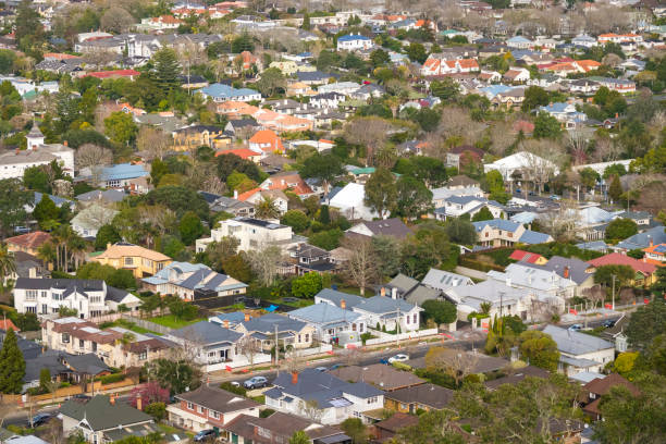 istock Auckland City Distant View 1165257797