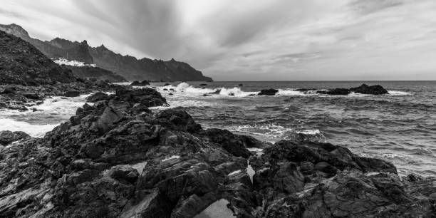 istock Black and white ocean surf landscape 1165258065