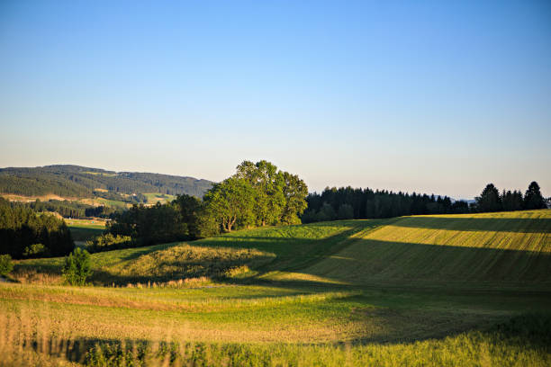 istock Sunny evening in the countryside 1165261897