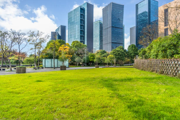 istock beautiful green meadow near modern office building 1165262269