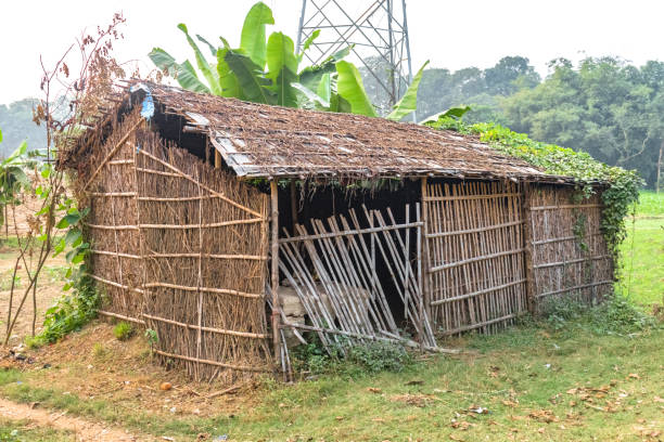Eco-friendly Tribal Hut having thatched roof, made from biodegradable Bamboo Straws and sticks. Typical house form of Tribal areas in Asia and Africa. Eco-friendly Tribal Hut in fields having thatched roof, made from biodegradable Bamboo Straws and sticks. A Typical house form of Tribal areas used by farmers and aboriginals as granary. - Image. thatched roof hut straw grass hut stock pictures, royalty-free photos & images