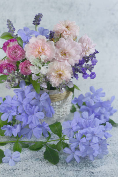 istock Beautiful rose flower bouquet in vase. 1165264844
