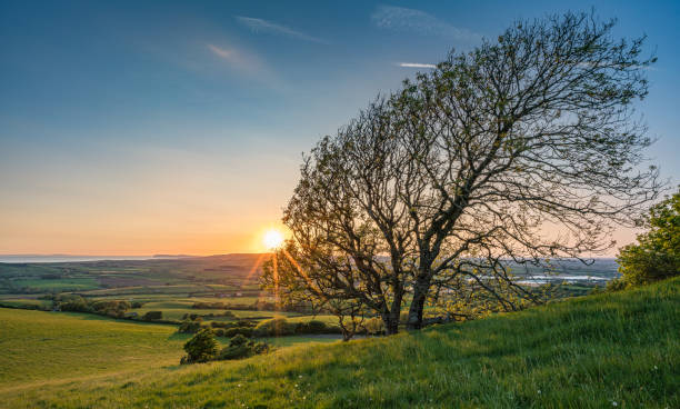 istock Sunset at the downs above Ventnor, Isle of Wight 1165269336