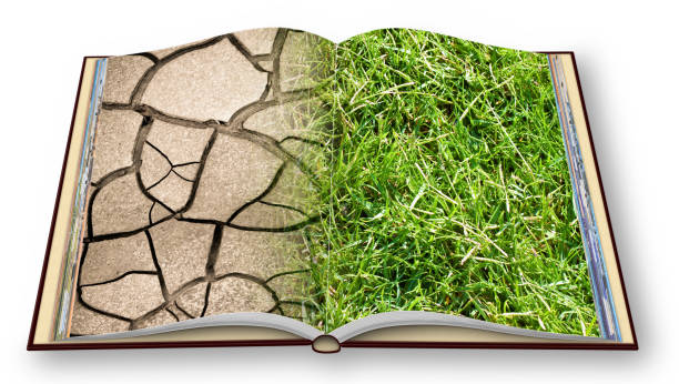 istock Cracked ground and green meadow - climate change concept image - 3D render concept image of an opened photo book isolated on white - I'm the copyright owner of the images used in this 3D render 1165269487