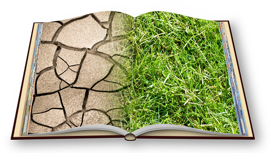Book with a magnifier, on against a green grass.