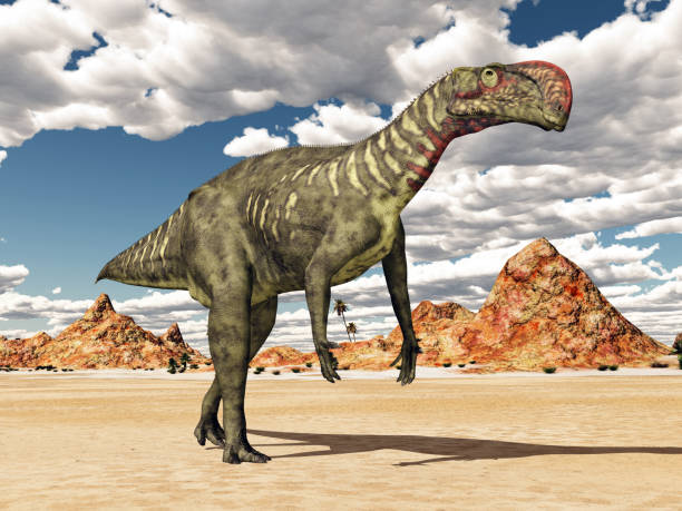 istock Dinosaur Altirhinus in a desert landscape 1165274374