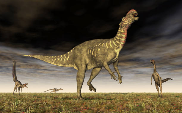 istock Altirhinus and Velociraptor 1165275775