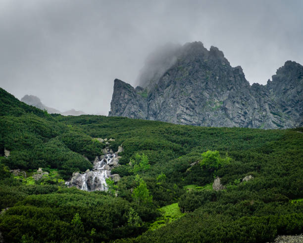 istock Mountain river surrounded by flora with huge mountain in background 1165280608