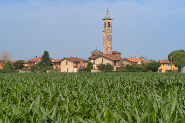 Gugnano, Lombardy: country village Gugnano, Lodi, Lombardy, Italy: view of the country village near Casaletto Lodigiano at late spring lodi italy stock pictures, royalty-free photos & images