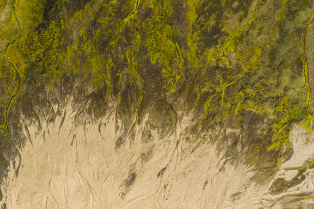 istock Aerial drone view of a huge riverbed 1165280942