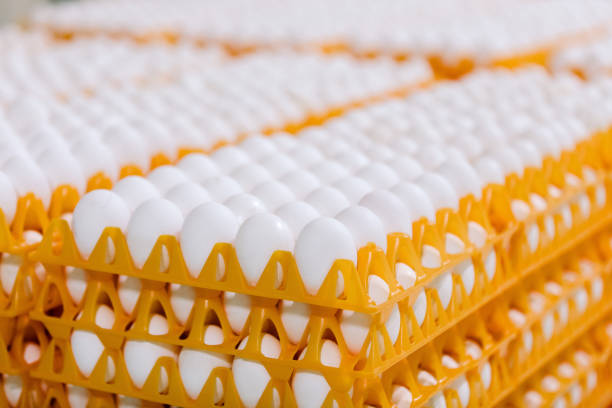 istock Stack of eggs on tray in the shop 1165281070