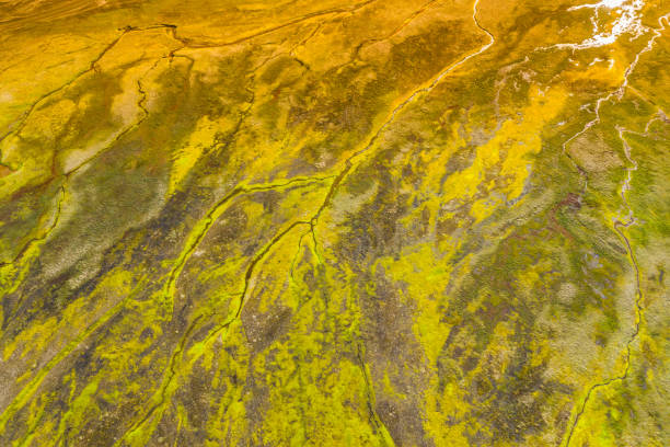 istock Aerial view and top view river in Iceland. Beautiful natural backdrop 1165282379