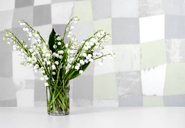 May lily flowers at the wall with abstract pattern of deformed squares on stucco surface. stock photo