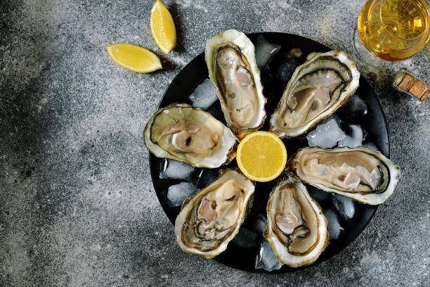 istock Open fresh oysters with lemon slices on a dish with ice cubes. Top view. 1165286598