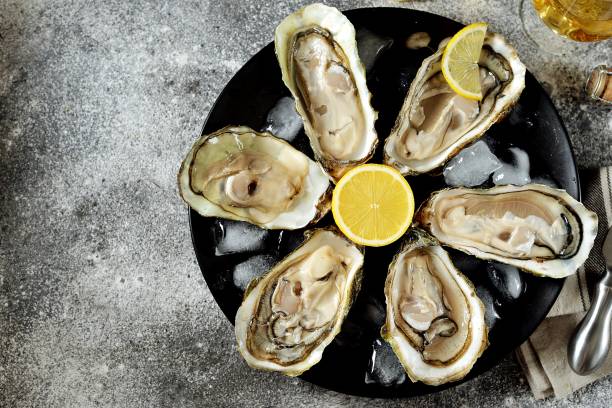 istock Open fresh oysters with lemon slices on a dish with ice cubes. Top view. 1165286870