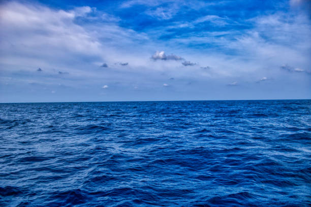 istock Turquoise blue sea in the Maldives 1165288760