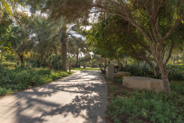 istock Pathway in a public park, United Arab Emirates 1165290521