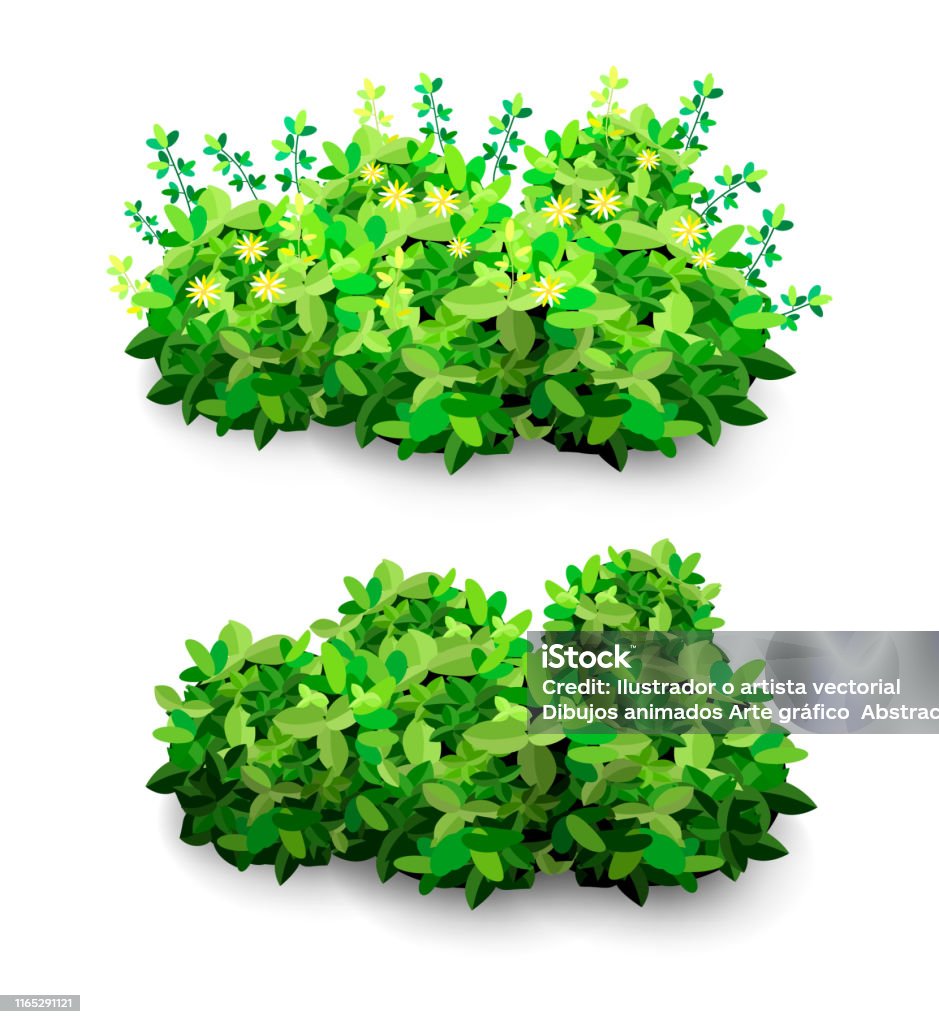 arbusto de jardim dos desenhos animados. ícone de arbustos de vegetação  verde. arbustos de desenhos animados