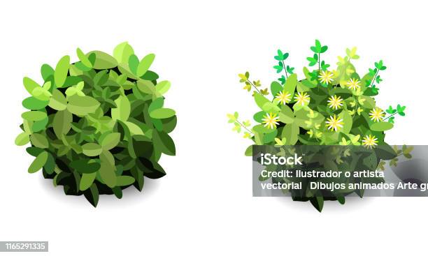 arbusto de jardim dos desenhos animados. ícone de arbustos de vegetação  verde. arbustos de desenhos animados
