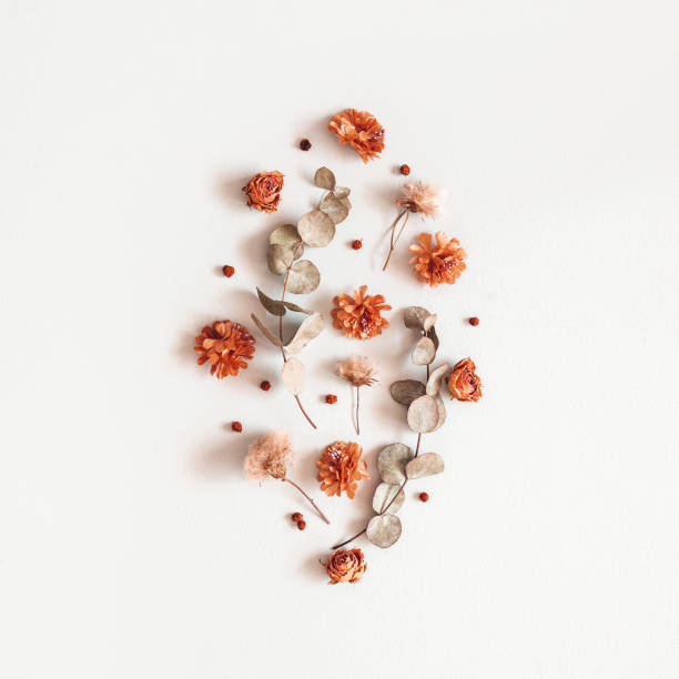 istock Autumn composition. Pattern made of dried flowers, eucalyptus leaves, berries on gray background. Autumn, fall, thanksgiving day concept. Flat lay, top view, square 1165291639