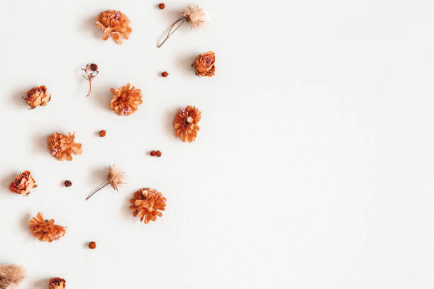 istock Autumn composition. Pattern made of dried flowers, berries on gray background. Autumn, fall, thanksgiving day concept. Flat lay, top view, copy space 1165291645