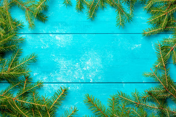 fondo navideño. ramas de abeto de navidad en tablero de madera rústica azul con espacio de copia - ny01 fotografías e imágenes de stock