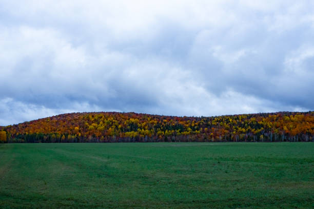 istock autumn landscape in Quebec, Canada 1165295857