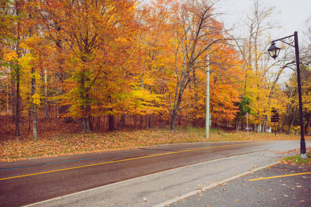 istock autumn landscape in Quebec, Canada 1165295897