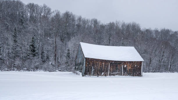istock barn landscape in winter in Quebec,canada 1165296738