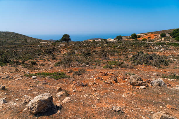 mediterranean landscape with red sand and stones