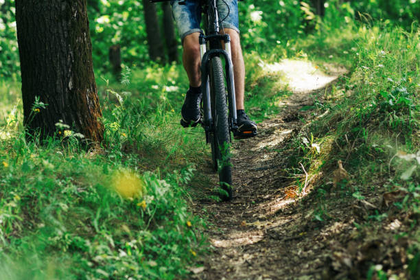 istock A cyclist riding on forest trails. Forest road. Active summer lifestyle 1165299868
