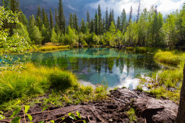 istock The green thermal lake 1165299988