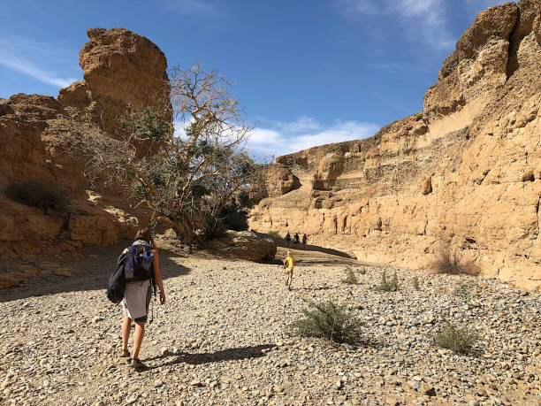 A shallow canyon with sandstone walls, Namibia