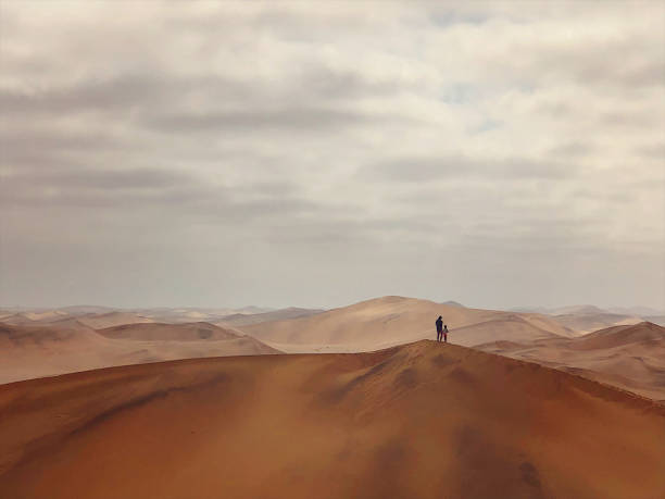 insieme in cima a una duna di sabbia - afar desert foto e immagini stock