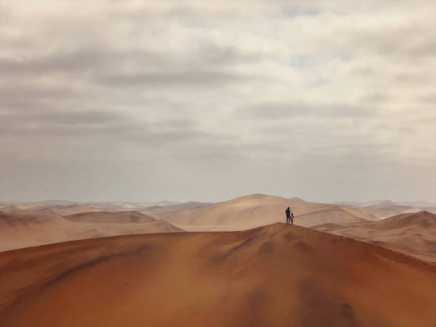 istock Together on top of a Sand dune 1165300748
