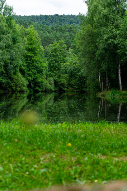 istock Lake surrounded by mountains and forests 1165302503