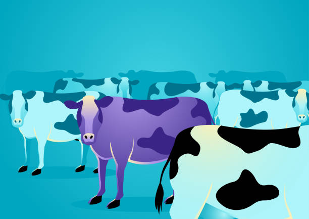 Purple cow stand out from ordinary cows Business concept vector illustration of a purple cow amongst ordinary cows, marketing concept that states that companies must build things worth noticing right into their products or services herd of cows stock illustrations
