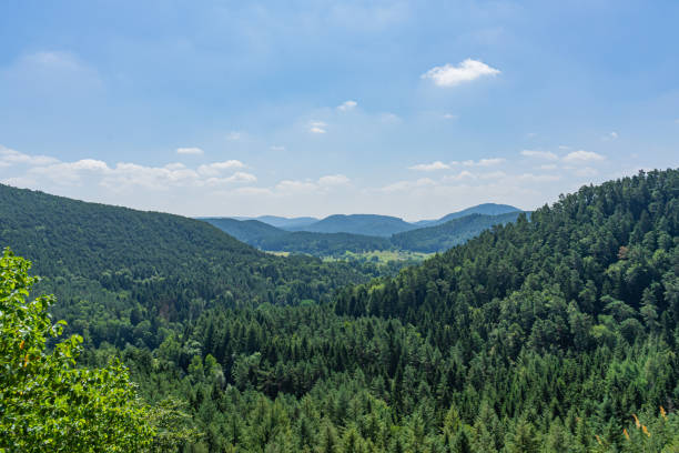 istock View over forests and hills with blue sky 1165304300