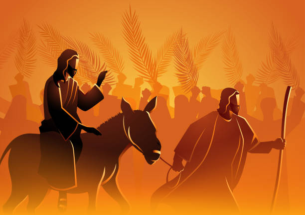 Jesus comes to Jerusalem as King Biblical vector illustration series, Jesus comes to Jerusalem as King burro stock illustrations