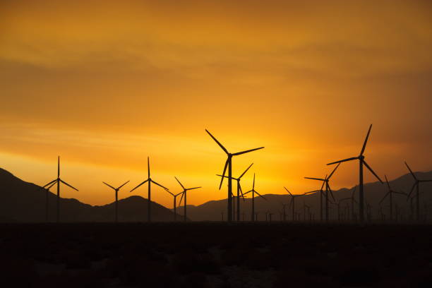 istock Windmills in the sunset nerby Palm Springs 1165311419