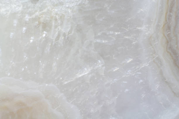 istock Natural piece of a dendrite agate texture close up 1165311629